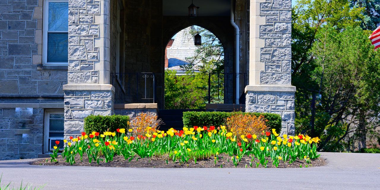 Rise and Shine: Thursday, May 1, 2025