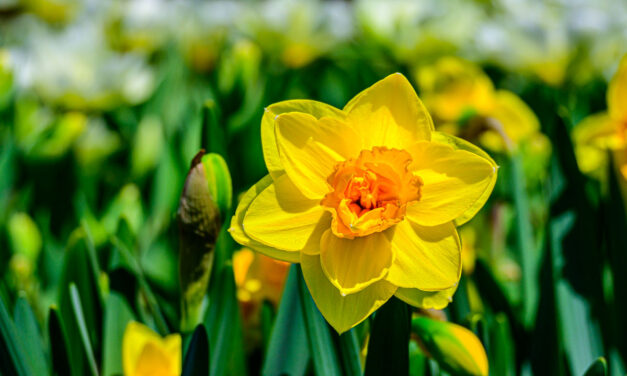 Rise and Shine: Tuesday, April 29, 2025
