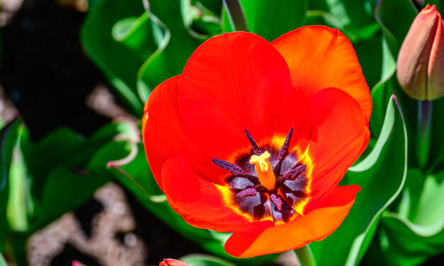 Rise and Shine: Wednesday, May 7, 2025