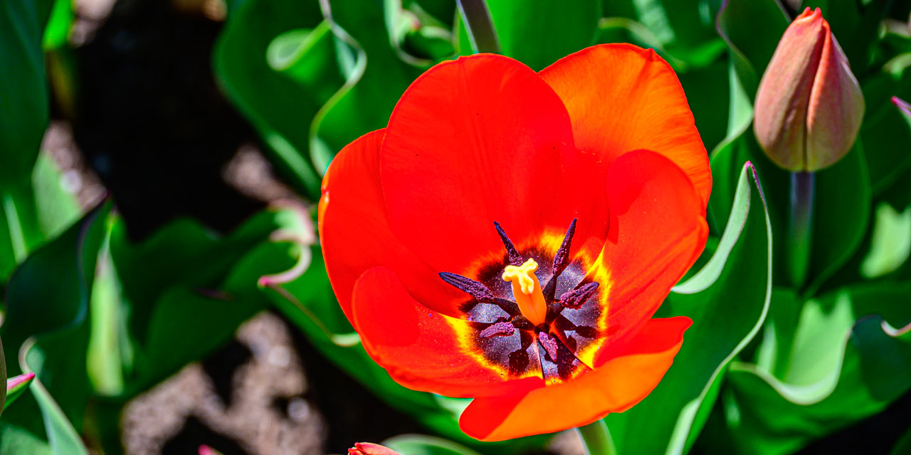 Rise and Shine: Wednesday, May 7, 2025
