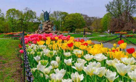 Rise and Shine: Friday, May 9, 2025