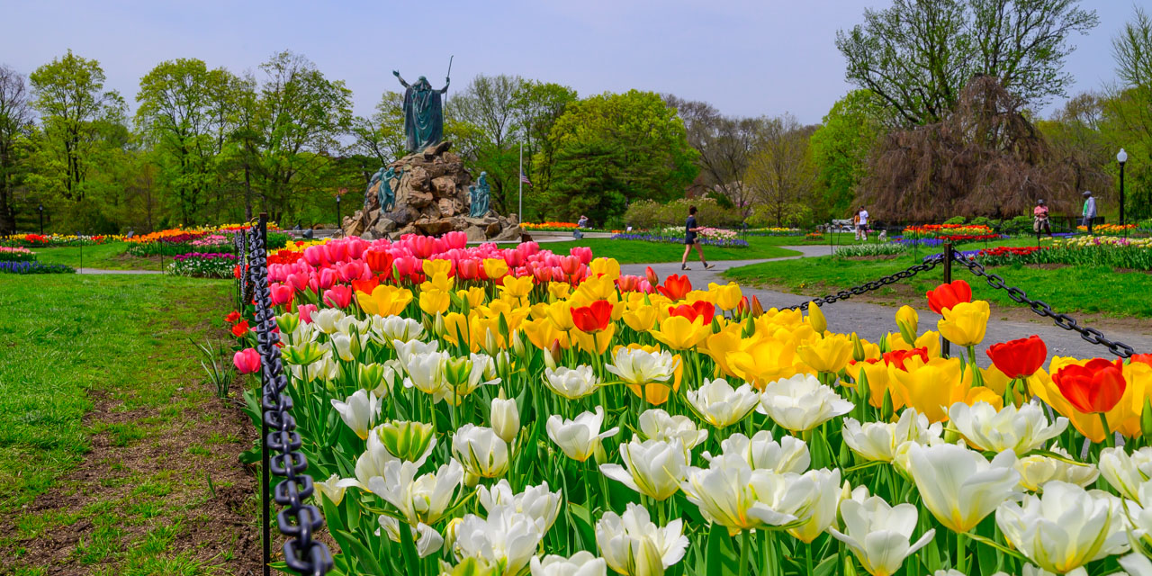 Rise and Shine: Friday, May 9, 2025