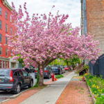 Rise and Shine: Thursday, May 15, 2025