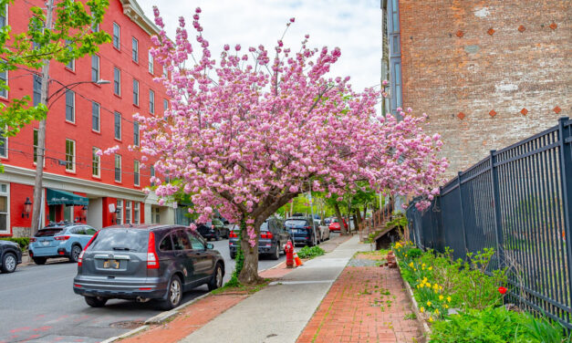Rise and Shine: Thursday, May 15, 2025