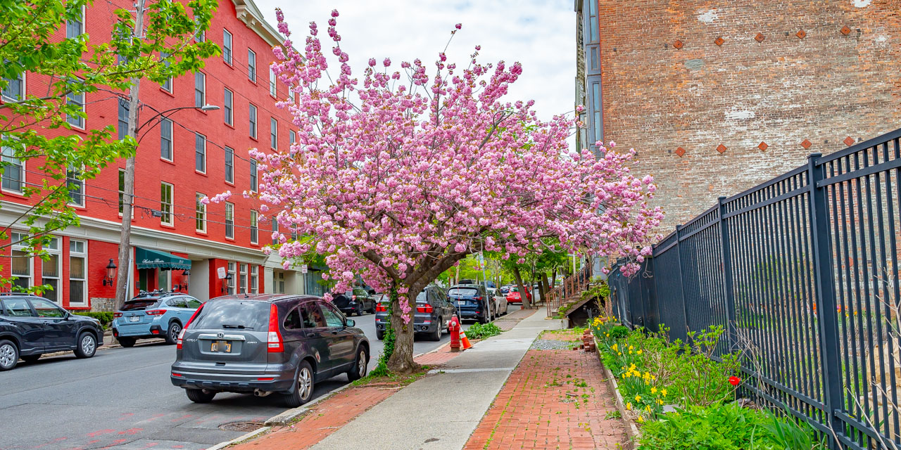 Rise and Shine: Thursday, May 15, 2025