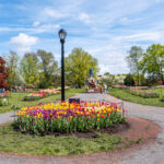 Rise and Shine: Monday, May 19, 2025