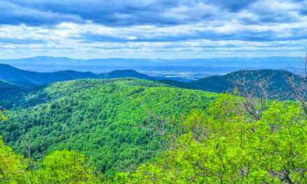 Rise and Shine: Wednesday, June 11, 2025