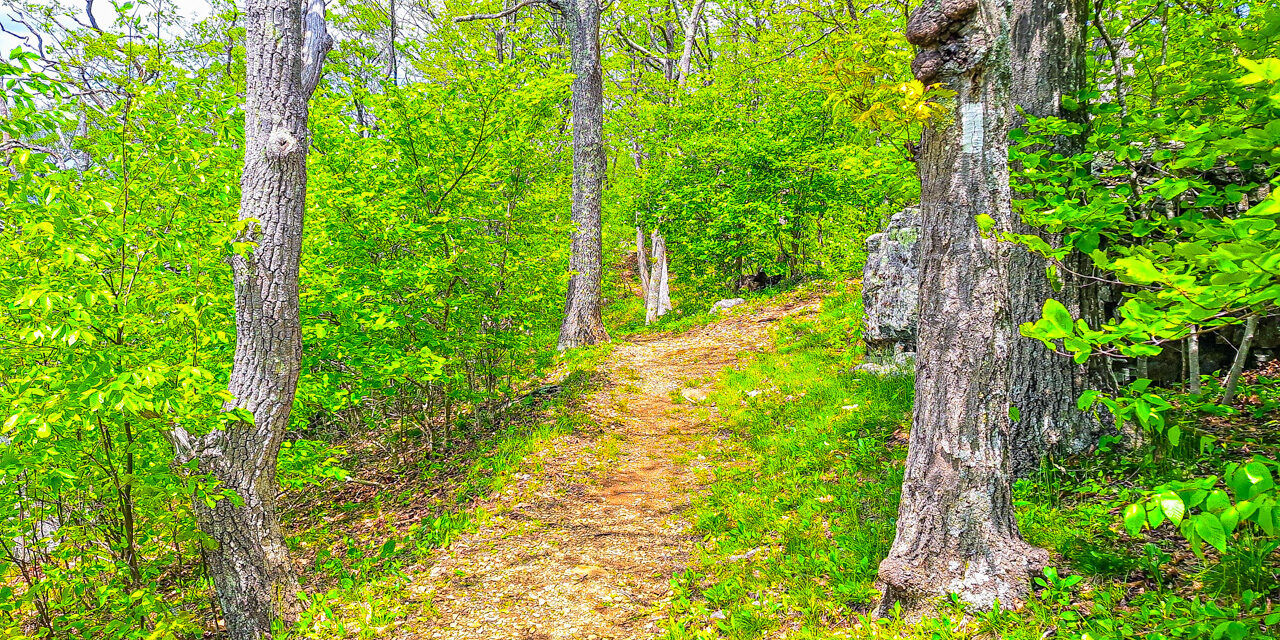 Rise and Shine: Wednesday, June 18, 2025