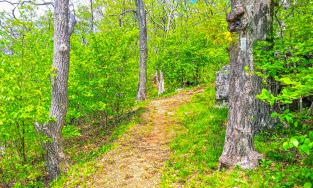 Rise and Shine: Wednesday, June 18, 2025