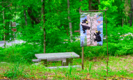 Rise and Shine: Tuesday, July 1, 2025