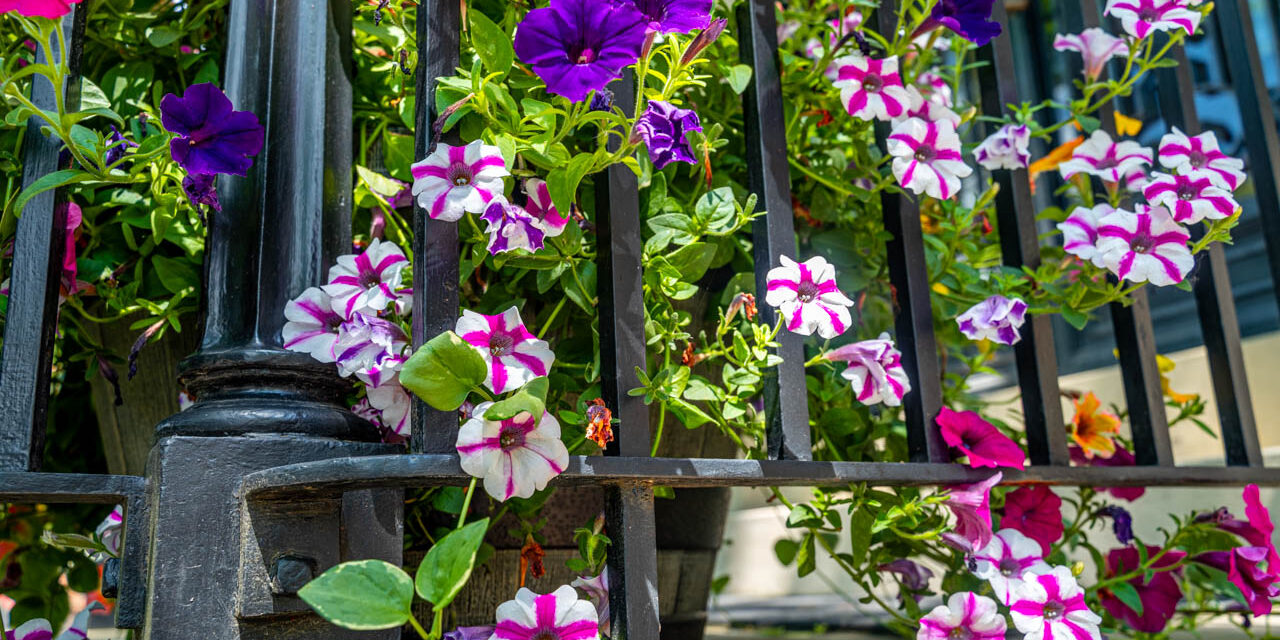 Rise and Shine: Thursday, June 26, 2025