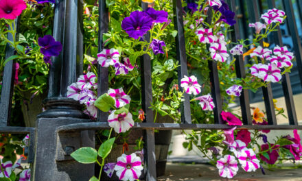 Rise and Shine: Thursday, June 26, 2025