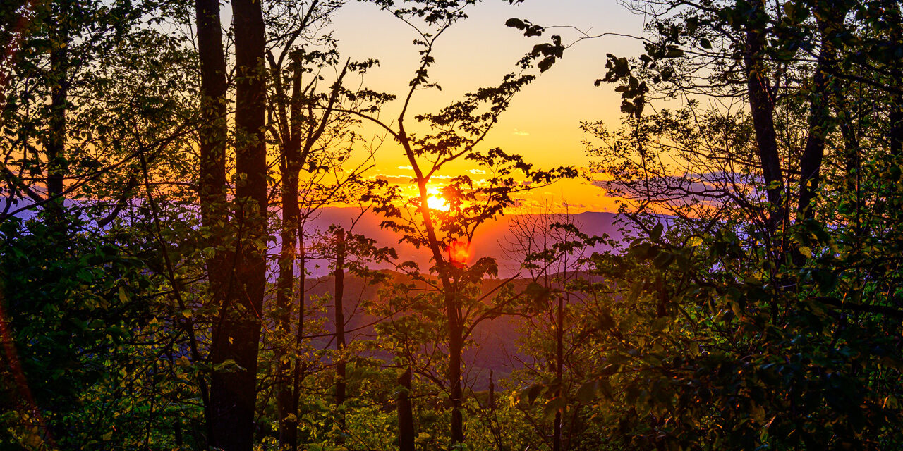Rise and Shine: Wednesday, June 4, 2025