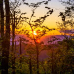 Rise and Shine: Wednesday, June 4, 2025