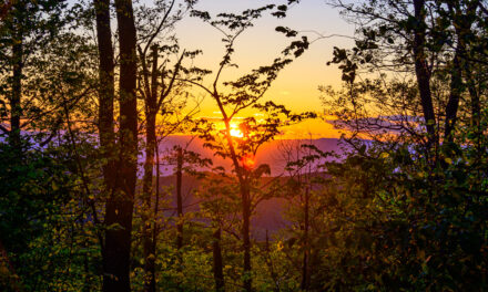Rise and Shine: Wednesday, June 4, 2025