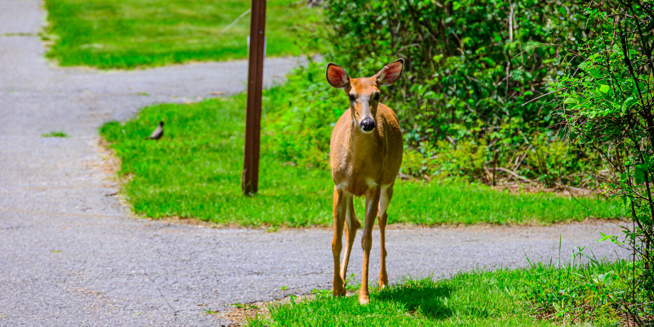 Rise and Shine: Monday, June 9, 2025