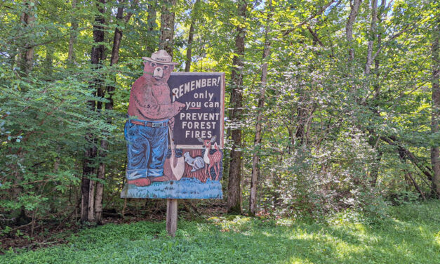 Rise and Shine: Thursday, July 3, 2025