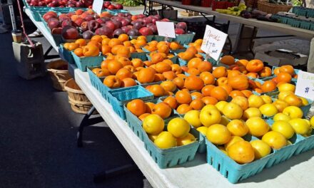 Rise and Shine: Monday, July 28, 2025