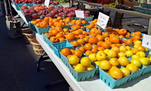 Rise and Shine: Monday, July 28, 2025