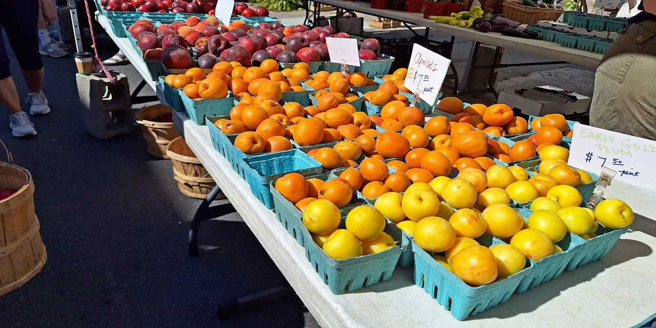 Rise and Shine: Monday, July 28, 2025