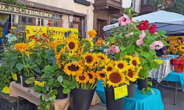 Rise and Shine: Tuesday, July 29, 2025