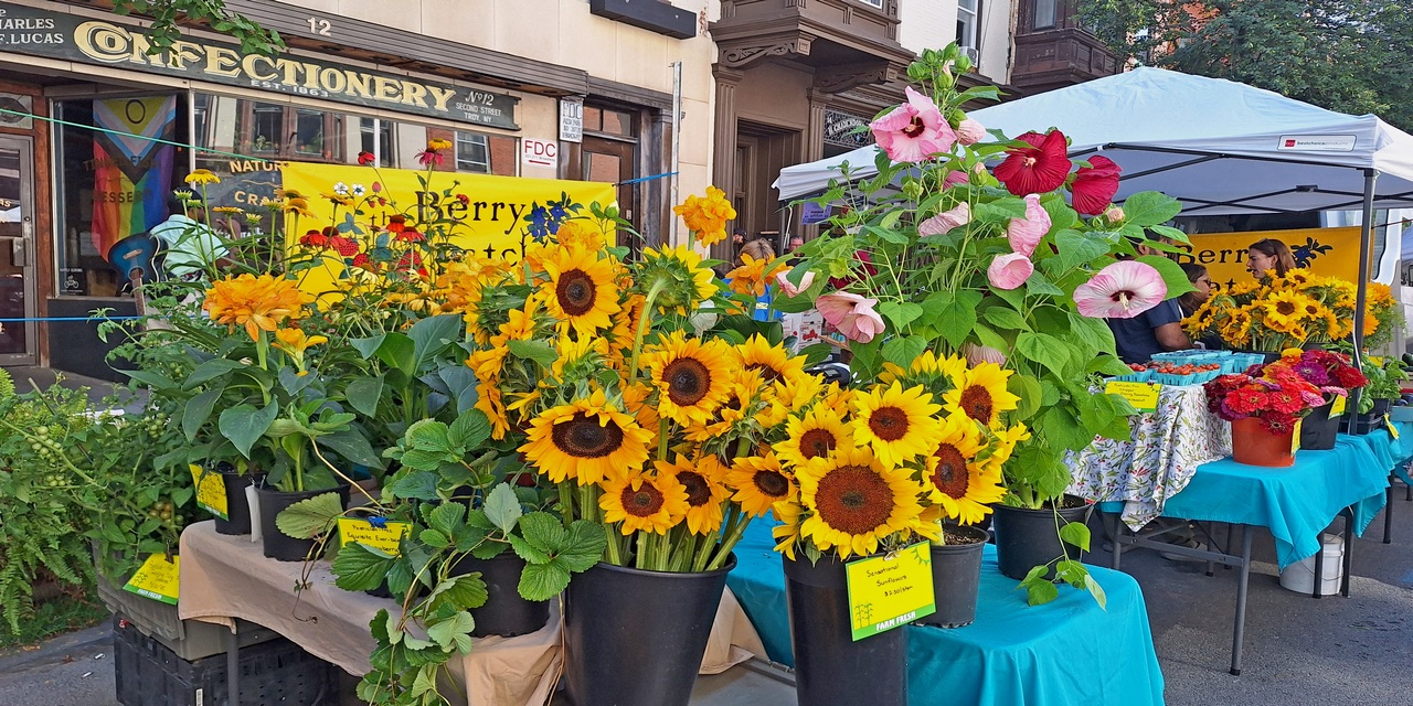 Rise and Shine: Tuesday, July 29, 2025