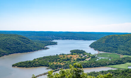 Rise and Shine: Tuesday, July 15, 2025