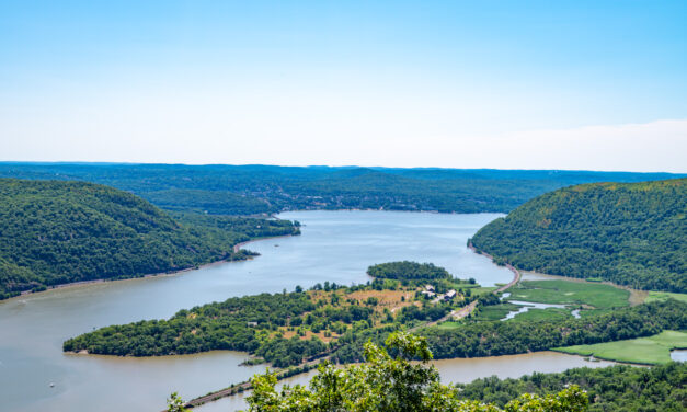 Rise and Shine: Tuesday, July 15, 2025