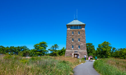 Rise and Shine: Thursday, July 24, 2025