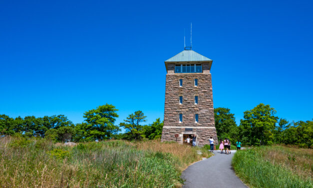 Rise and Shine: Thursday, July 24, 2025