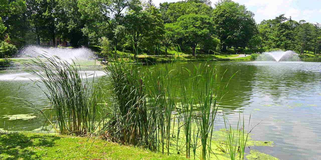 Rise and Shine: Tuesday, July 22, 2025