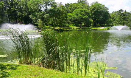 Rise and Shine: Tuesday, July 22, 2025