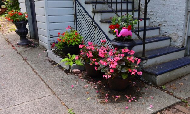 Rise and Shine: Wednesday, July 23, 2025