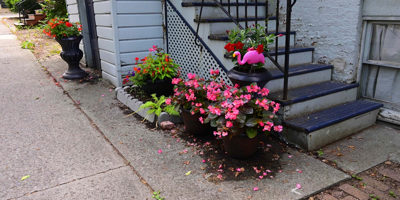 Rise and Shine: Wednesday, July 23, 2025