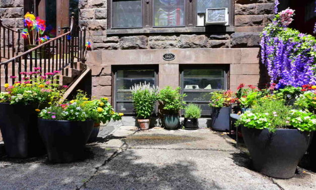 Rise and Shine: Friday, Aug. 1, 2025