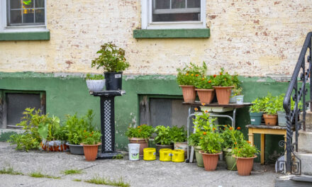 Rise and Shine: Monday, July 14, 2025