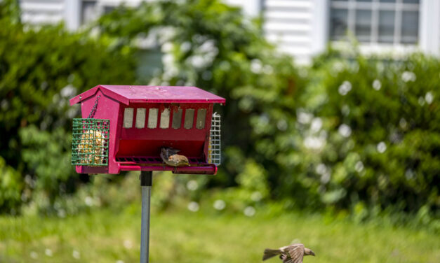 Rise and Shine: Wednesday, July 16, 2025