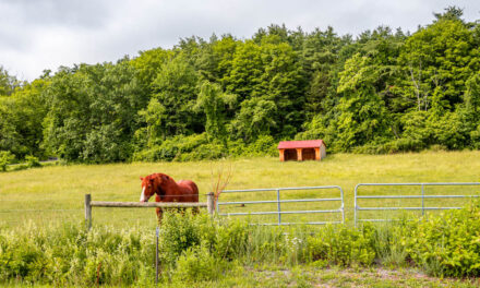 Rise and Shine: Tuesday, July 8, 2025