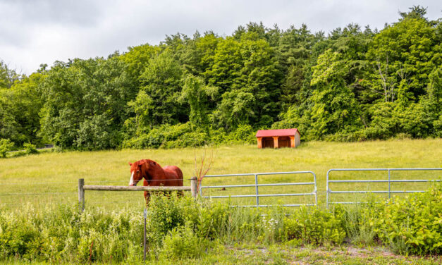 Rise and Shine: Tuesday, July 8, 2025