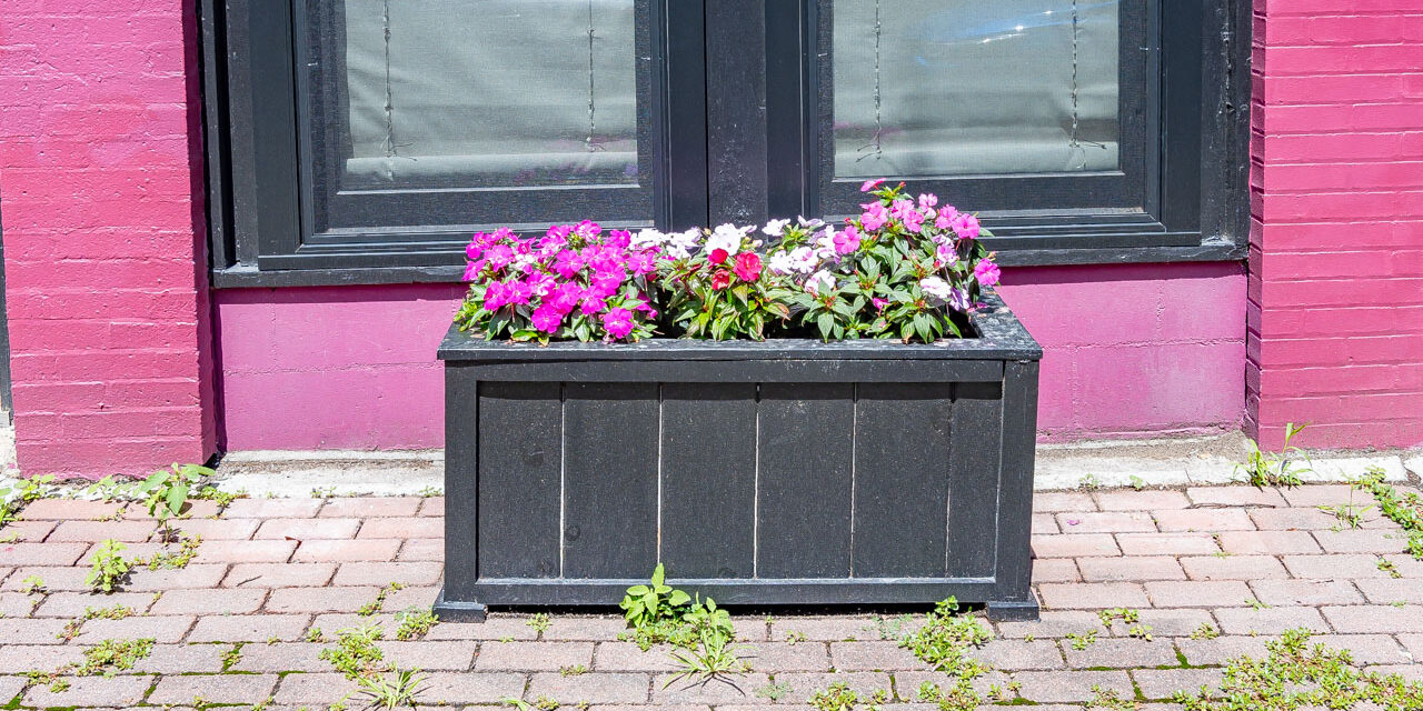 Rise and Shine: Thursday, July 17, 2025