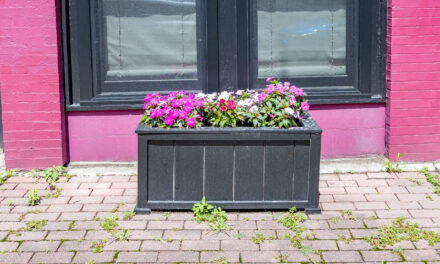 Rise and Shine: Thursday, July 17, 2025