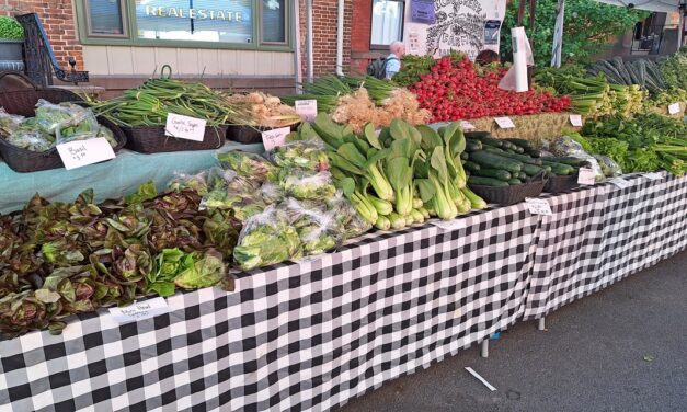 Rise and Shine: Monday, Aug. 18, 2025