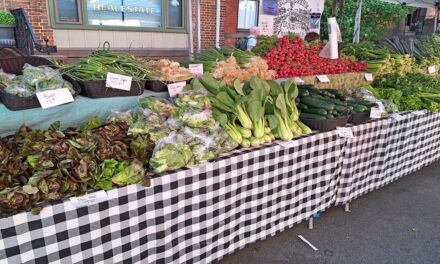 Rise and Shine: Tuesday, Aug. 5, 2025