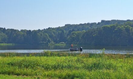 Rise and Shine: Thursday, Aug. 14, 2025