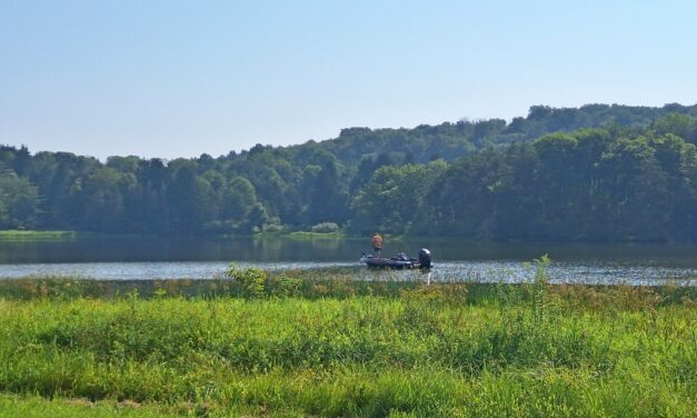 Rise and Shine: Thursday, Aug. 14, 2025