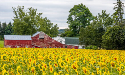 Rise and Shine: Tuesday, Aug. 26, 2025