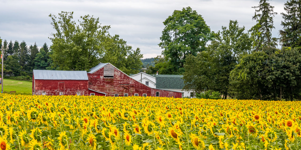 Rise and Shine: Tuesday, Aug. 26, 2025