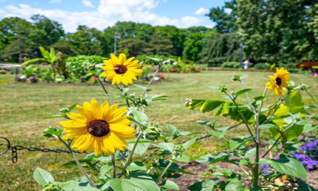 Rise and Shine: Thursday, Aug. 28, 2025