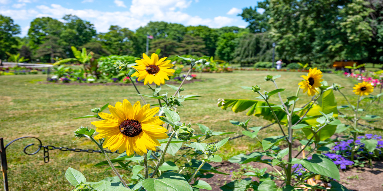 Rise and Shine: Thursday, Aug. 28, 2025