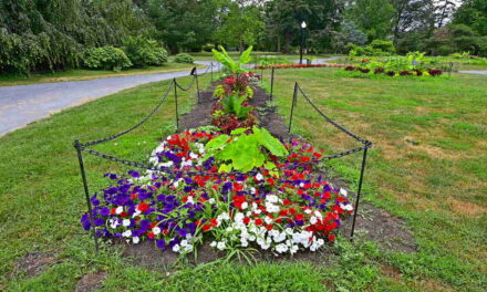 Rise and Shine: Tuesday, Aug. 19, 2025